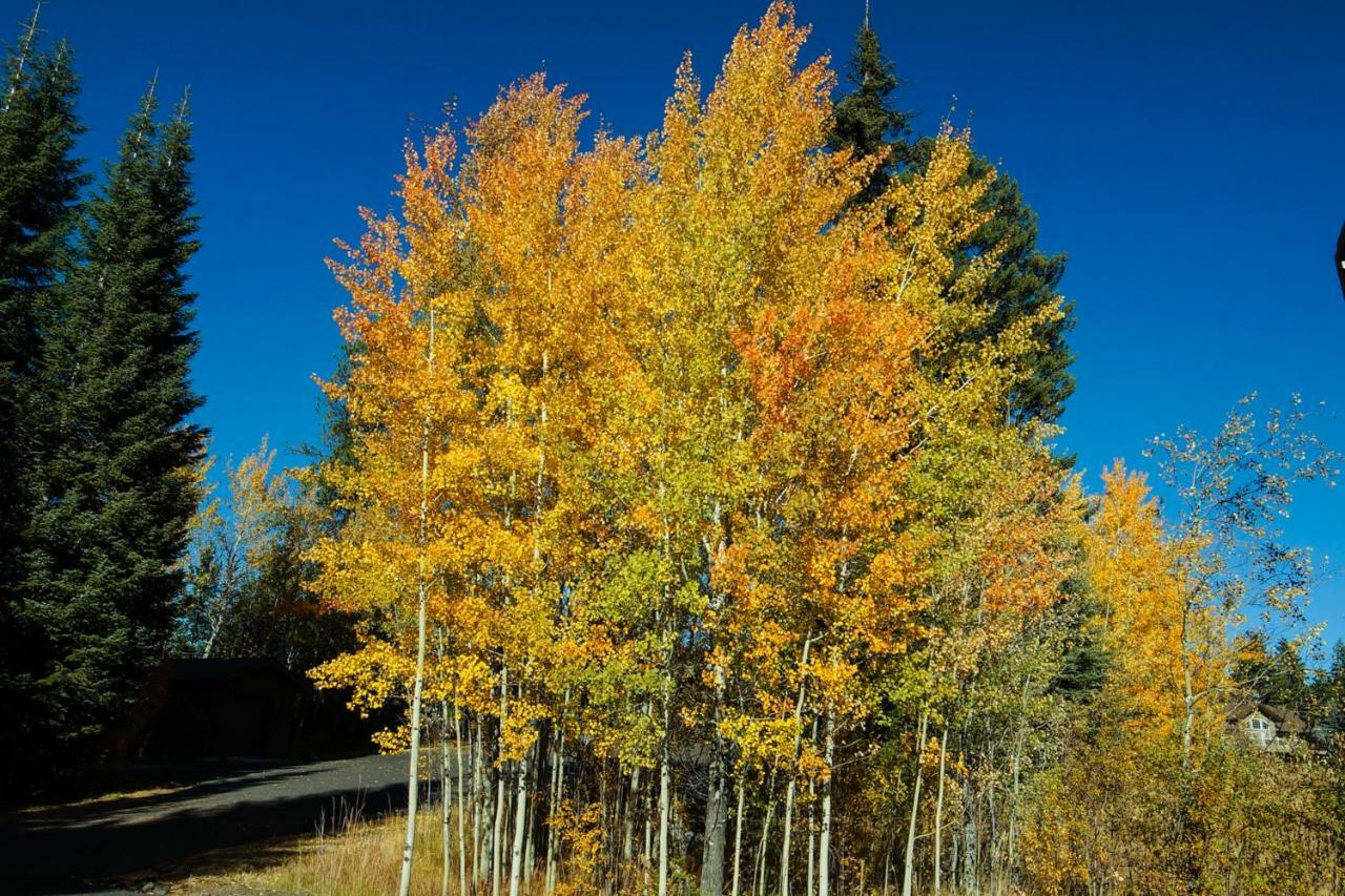 Aspen Village Golf Course Condo - Snowshoes แม็คคอลล์ ภายนอก รูปภาพ